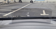 셀토스 1.6 디젤 2WD 노블레스 150하6907 셀토스장기렌트, 연체자장기렌트